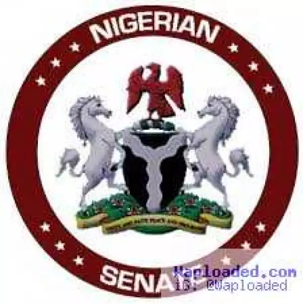 Nigerian Senate Lied! Buhari